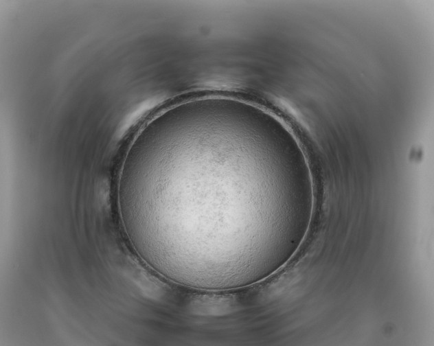 X0000092091307200709191237