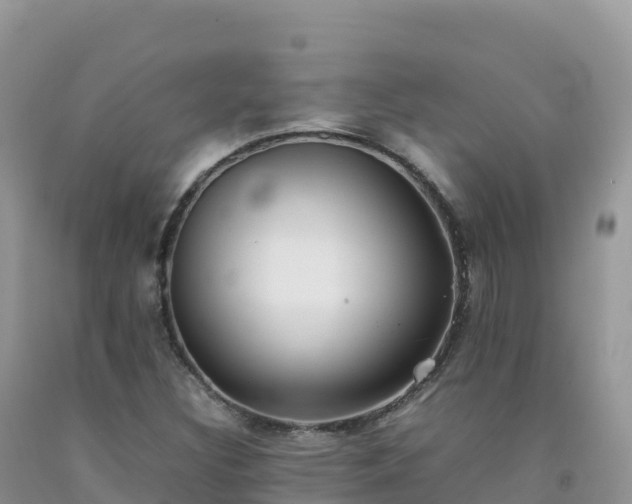 X0000092091308200709191237