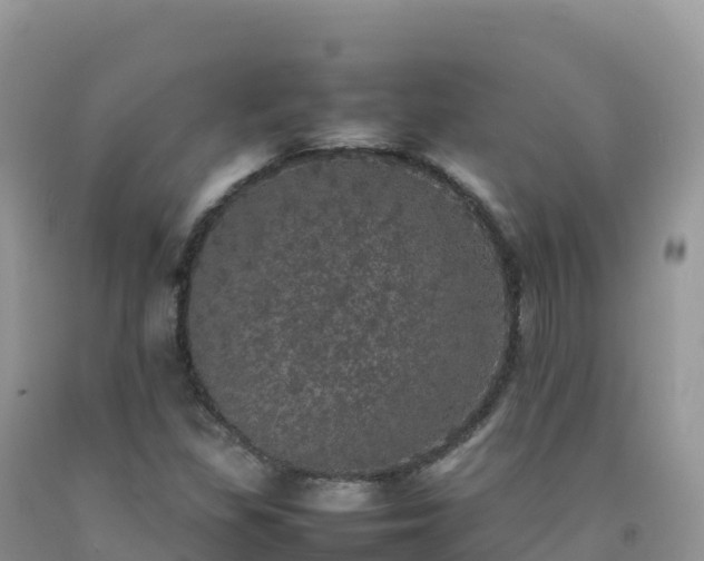 X0000092091309200709191237
