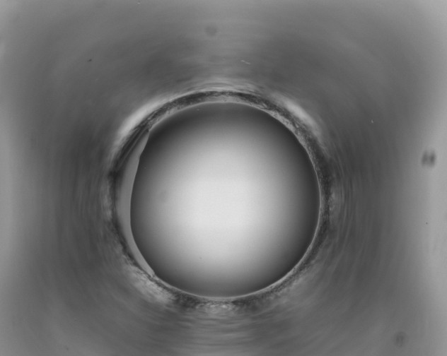 X0000092091310200709191237