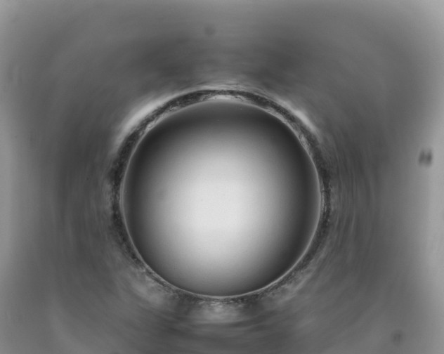 X0000092091311200709191237