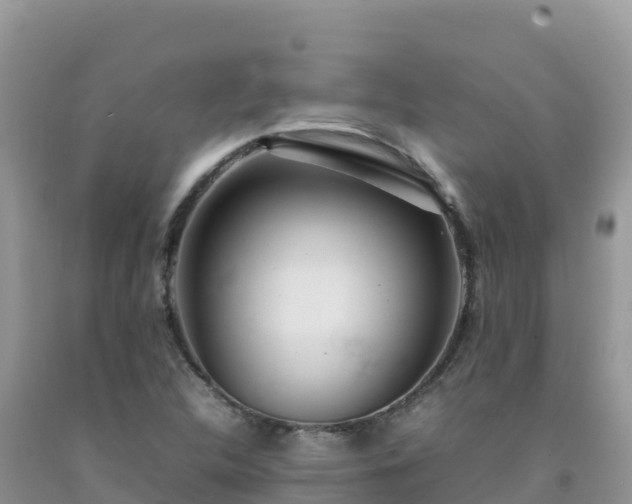 X0000092091312200709191237