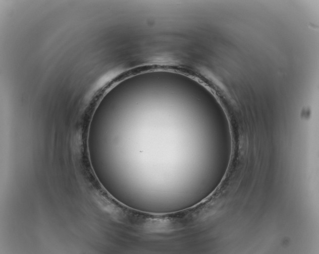 X0000092091315200709191237