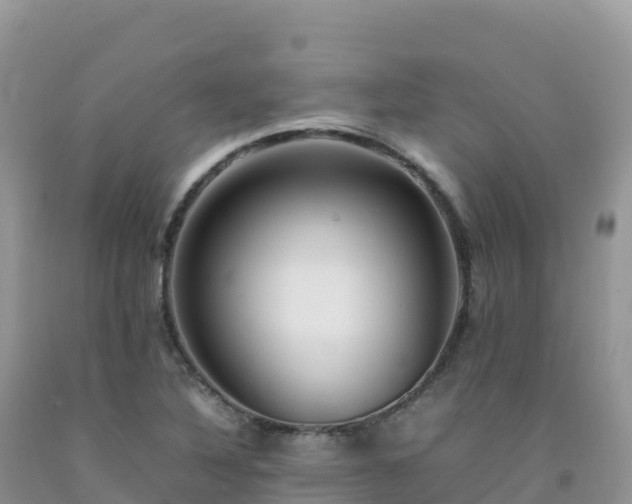 X0000092091316200709191237