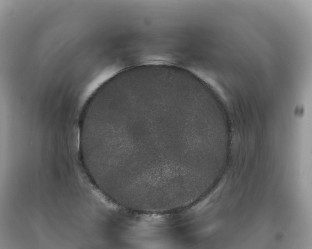 X0000092091317200709191237