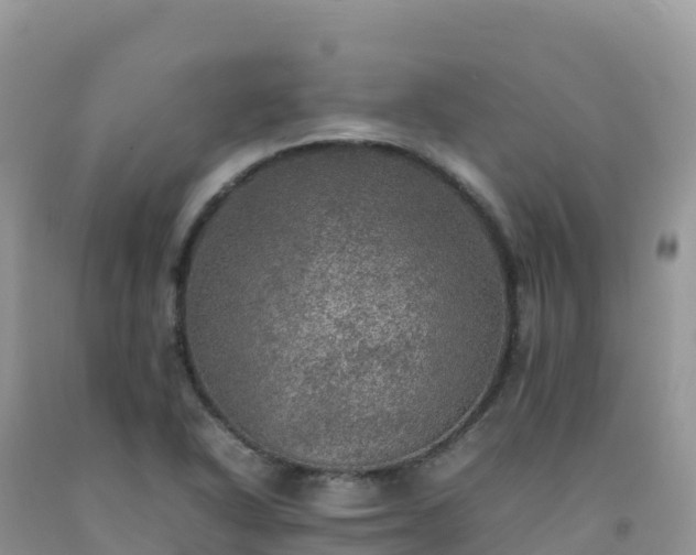 X0000092091318200709191237