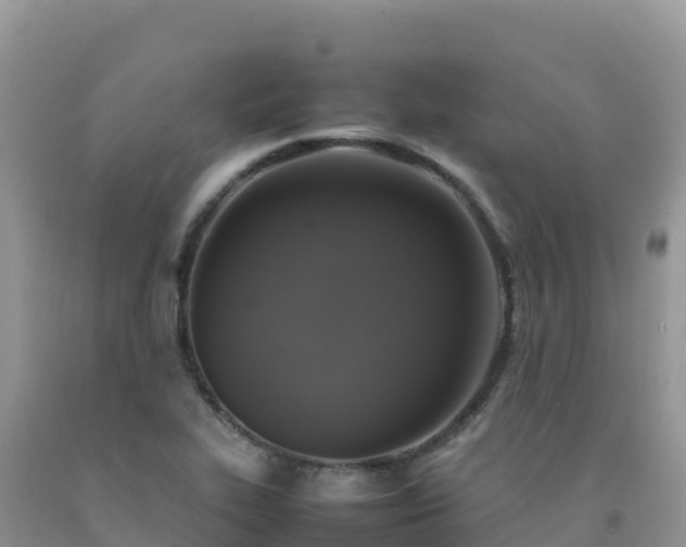 X0000092091319200709191237
