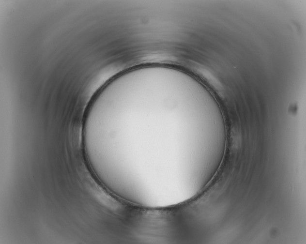 X0000092091322200709191237