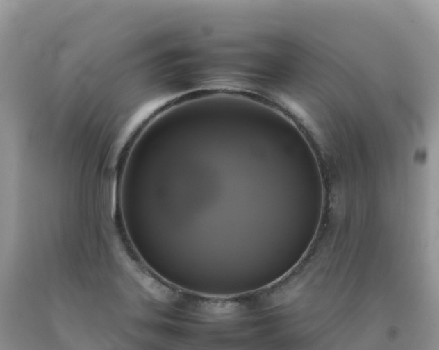 X0000092091323200709191237