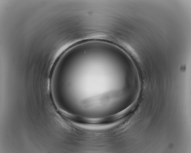 X0000092091324200709191237