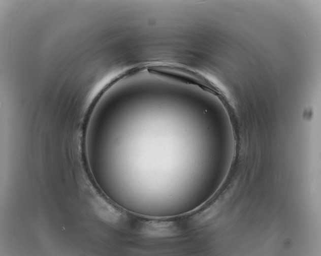 X0000092091325200709191237