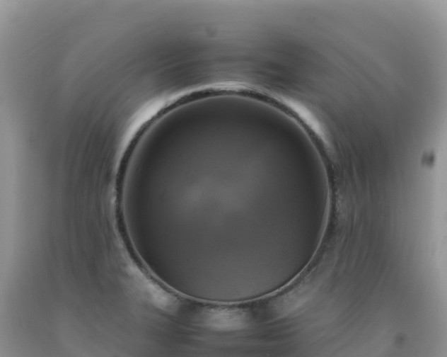 X0000092091327200709191237