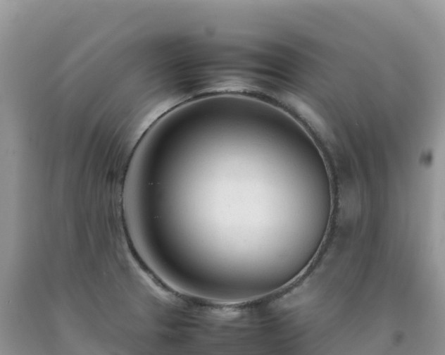 X0000092091329200709191237