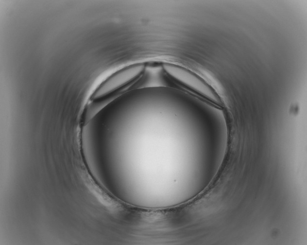 X0000092091332200709191237