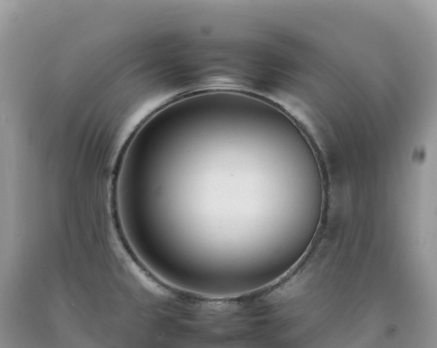 X0000092091333200709191237