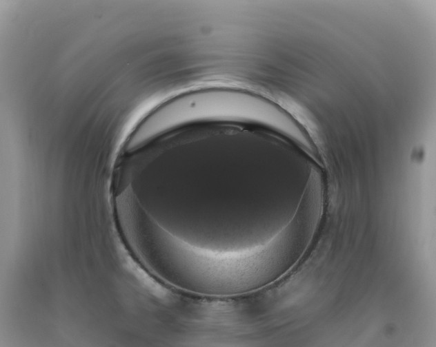 X0000092091334200709191237