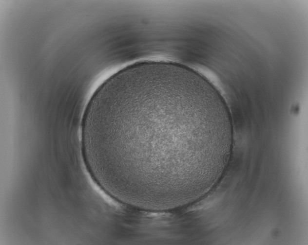 X0000092091335200709191237