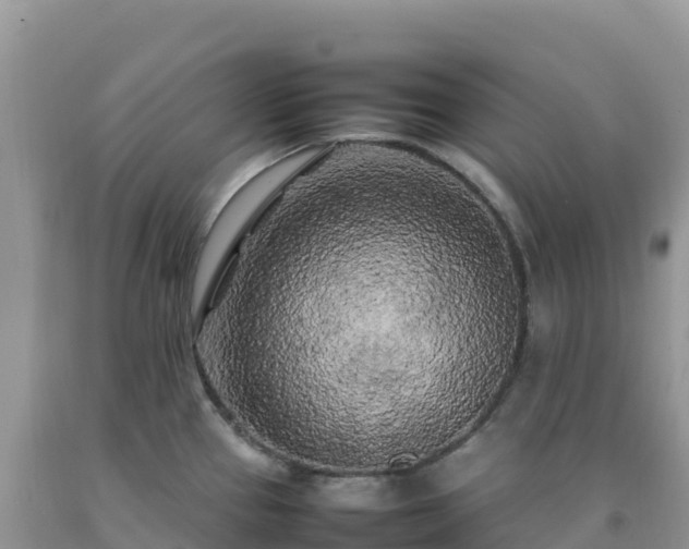X0000092091337200709191237