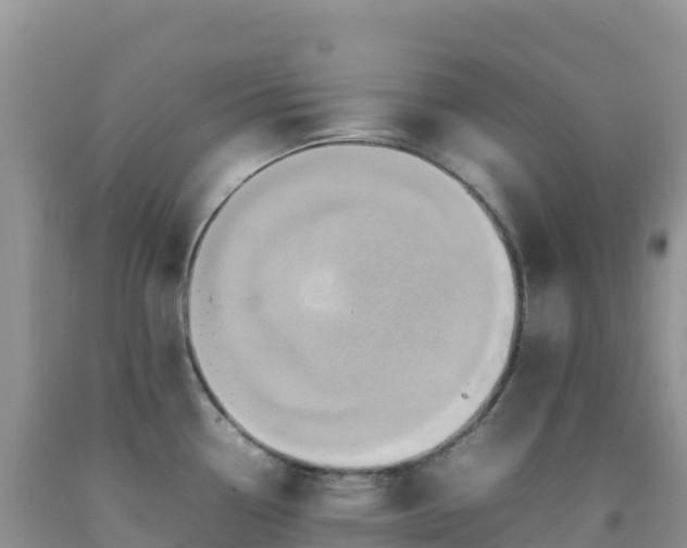 X0000092091338200709191237