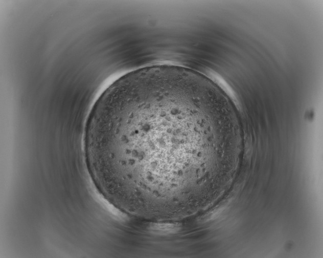 X0000092091339200709191237