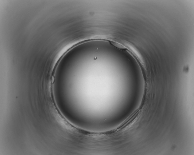 X0000092091340200709191237