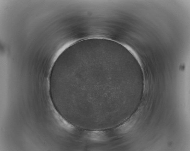 X0000092091341200709191237