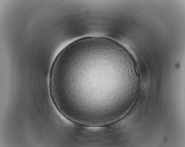 X0000092091343200709191237