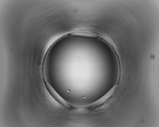 X0000092091344200709191237