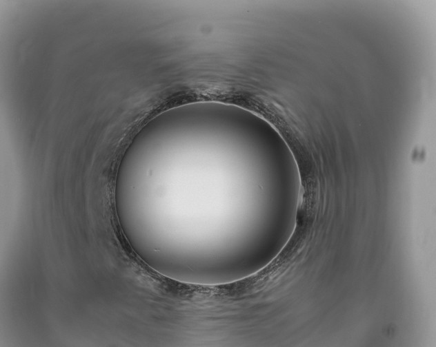 X0000092091345200709191237