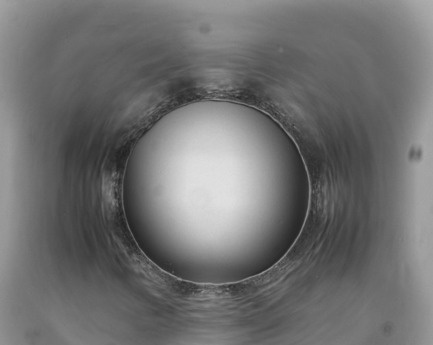 X0000092091346200709191237