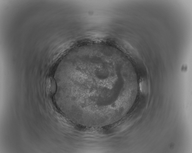 X0000092091347200709191237