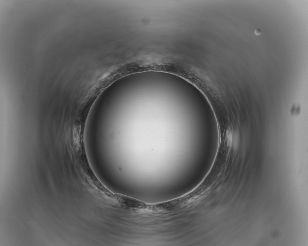X0000092091348200709191237