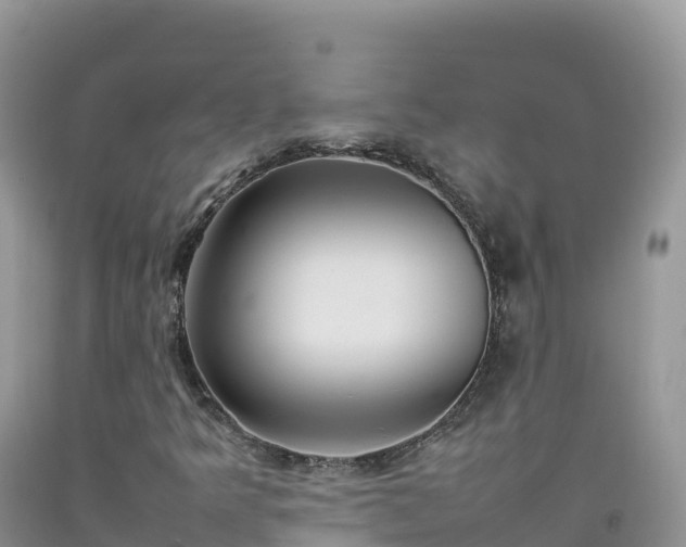 X0000092091349200709191237