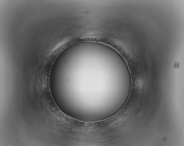 X0000092091350200709191237