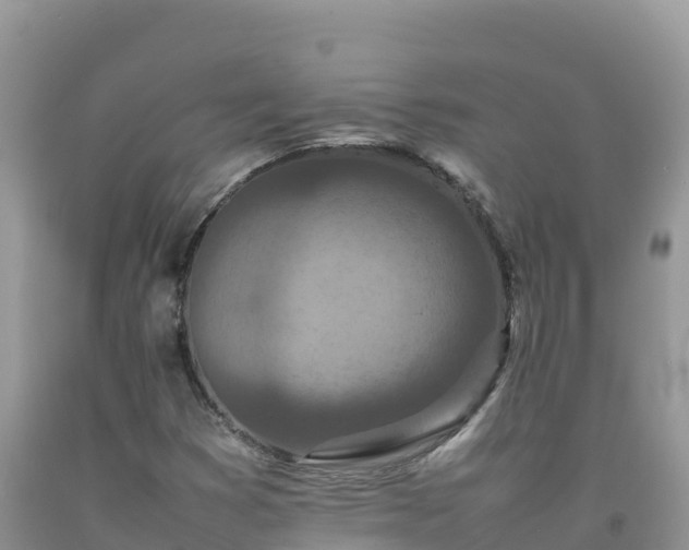 X0000092091353200709191237