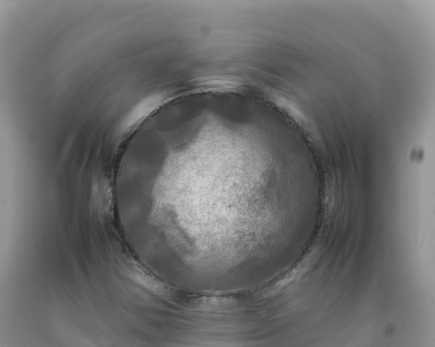 X0000092091354200709191237