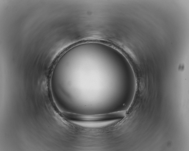 X0000092091356200709191237