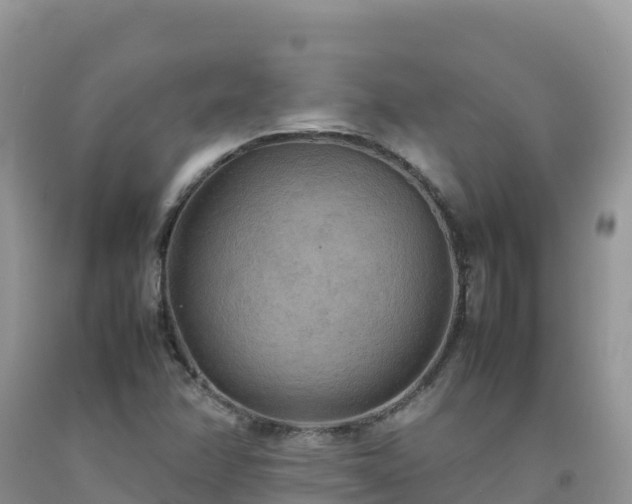 X0000092091358200709191237