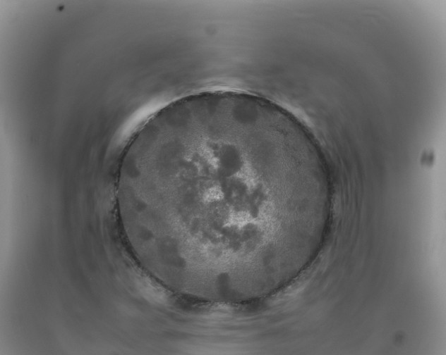 X0000092091359200709191237