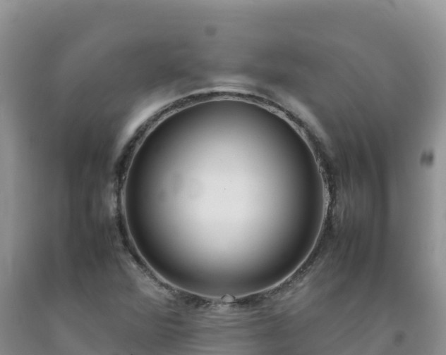 X0000092091360200709191237