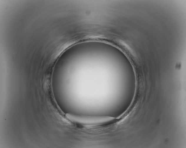 X0000092091361200709191237