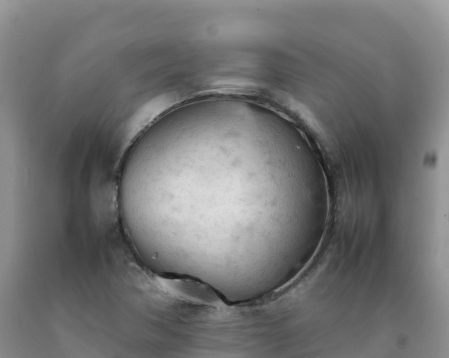 X0000092091362200709191237