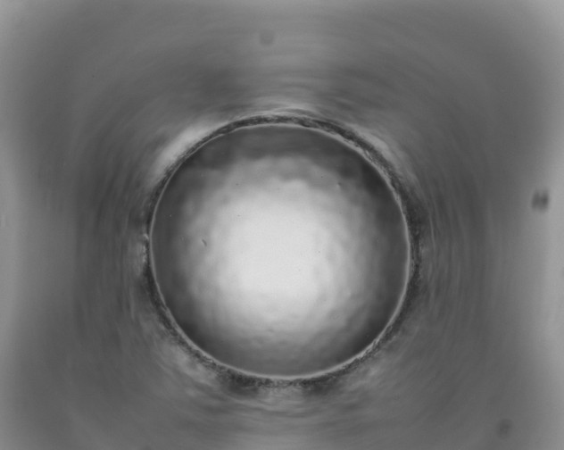 X0000092091363200709191237