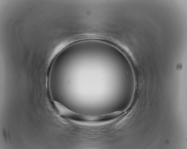 X0000092091365200709191237