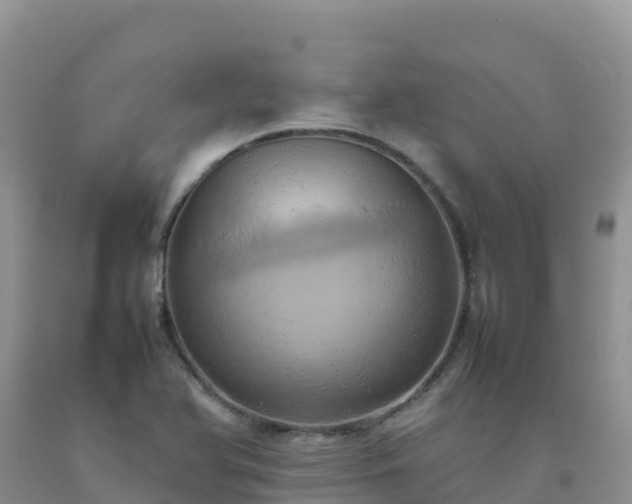 X0000092091366200709191237
