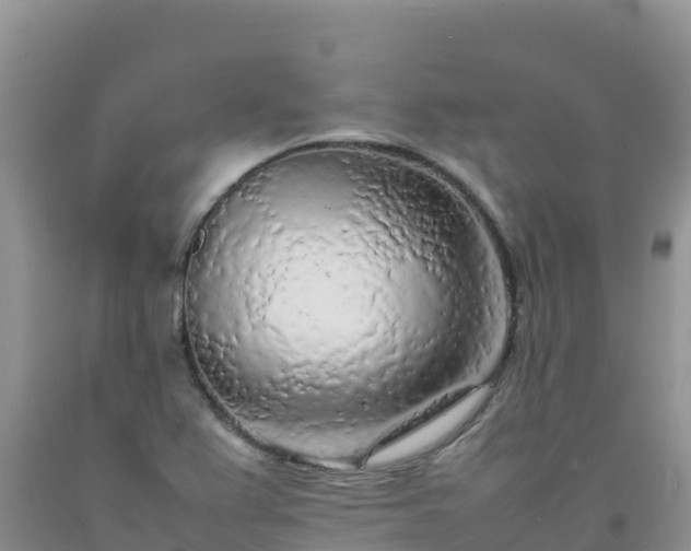 X0000092091367200709191237