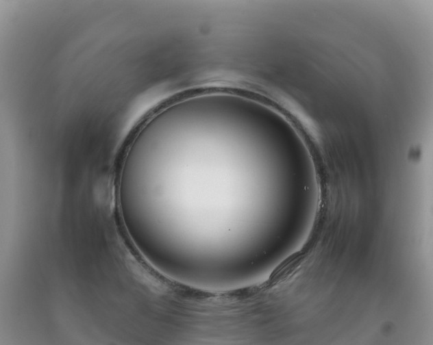 X0000092091368200709191237