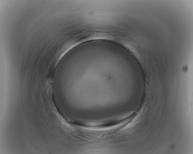 X0000092091369200709191237