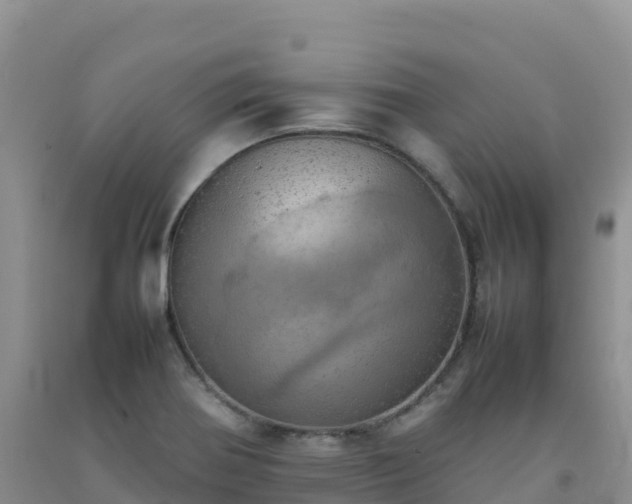 X0000092091370200709191237