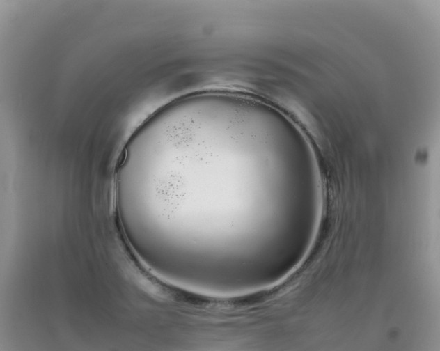 X0000092091371200709191237